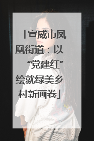 宣威市凤凰街道：以“党建红”绘就绿美乡村新画卷