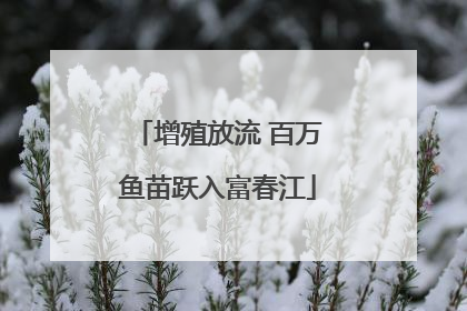 增殖放流 百万鱼苗跃入富春江