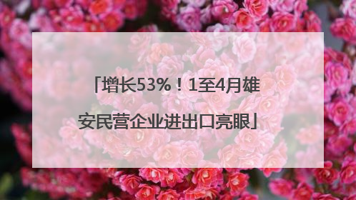 增长53%！1至4月雄安民营企业进出口亮眼