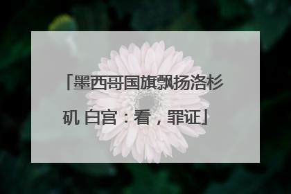 墨西哥国旗飘扬洛杉矶 白宫：看，罪证