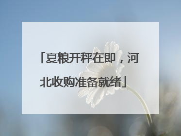 夏粮开秤在即，河北收购准备就绪