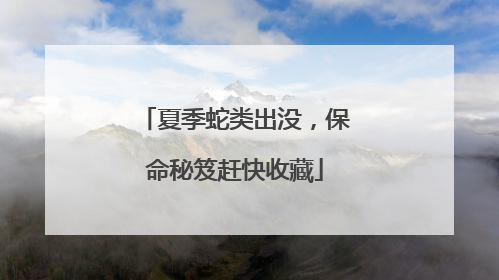 夏季蛇类出没，保命秘笈赶快收藏
