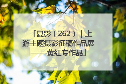 夏影（262）｜上游主题摄影征稿作品展——黄红专作品