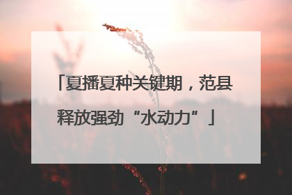 夏播夏种关键期，范县释放强劲“水动力”