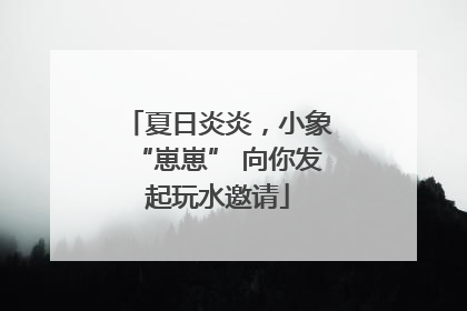 夏日炎炎，小象“崽崽” 向你发起玩水邀请
