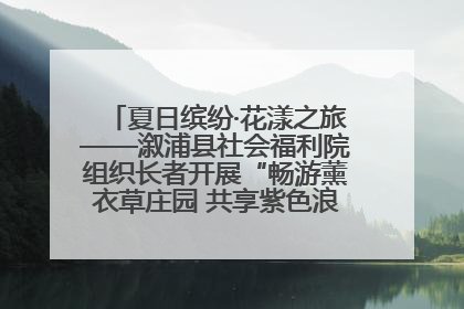 夏日缤纷·花漾之旅——溆浦县社会福利院组织长者开展“畅游薰衣草庄园 共享紫色浪漫”户外活动