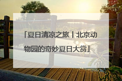 夏日清凉之旅丨北京动物园的奇妙夏日大赏
