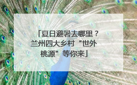 夏日避暑去哪里？兰州四大乡村“世外桃源”等你来