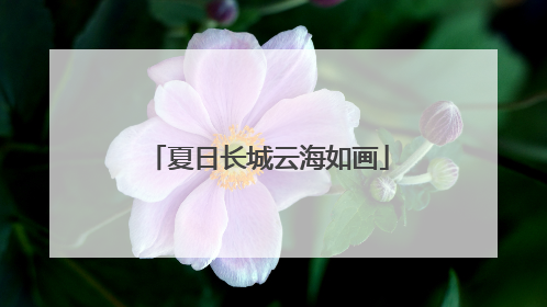 夏日长城云海如画
