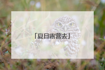 夏日露营去