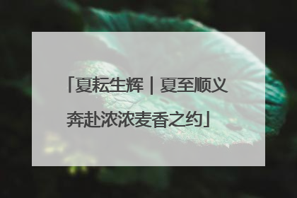 夏耘生辉｜夏至顺义奔赴浓浓麦香之约
