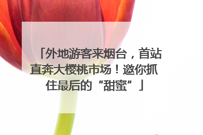 外地游客来烟台，首站直奔大樱桃市场！邀你抓住最后的“甜蜜”