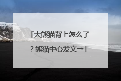 大熊猫背上怎么了？熊猫中心发文→