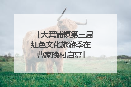 大箕铺镇第三届红色文化旅游季在曹家晚村启幕