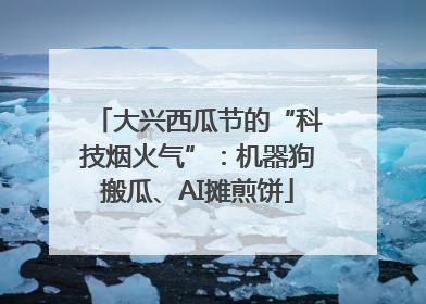 大兴西瓜节的“科技烟火气”：机器狗搬瓜、AI摊煎饼