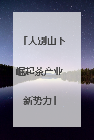 大别山下崛起茶产业新势力