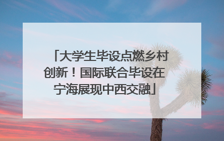 大学生毕设点燃乡村创新！国际联合毕设在宁海展现中西交融