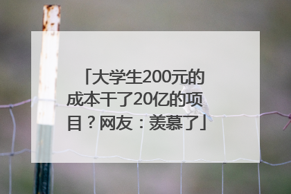 大学生200元的成本干了20亿的项目？网友：羡慕了