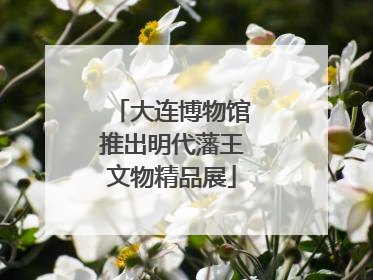 大连博物馆推出明代藩王文物精品展