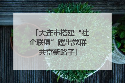大连市搭建“社企联盟”蹚出党群共富新路子