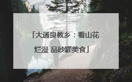 大通良教乡：看山花烂漫 品砂罐美食