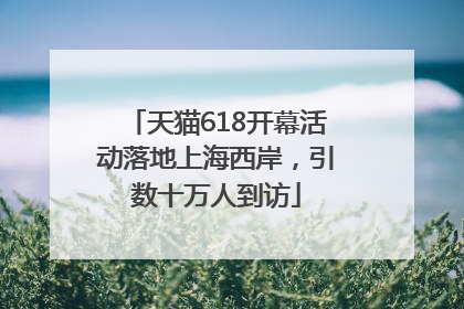 天猫618开幕活动落地上海西岸，引数十万人到访