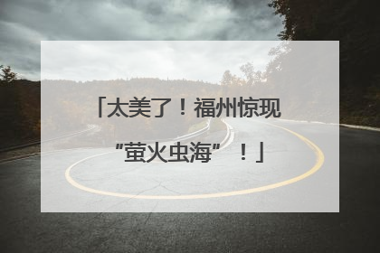 太美了！福州惊现“萤火虫海”！