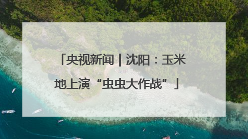 央视新闻｜沈阳：玉米地上演“虫虫大作战”