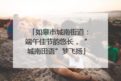 如皋市城南街道：端午佳节韵悠长，“城南田语”梦飞扬