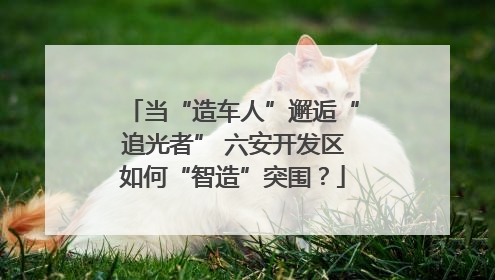 当“造车人”邂逅“追光者” 六安开发区如何“智造”突围？