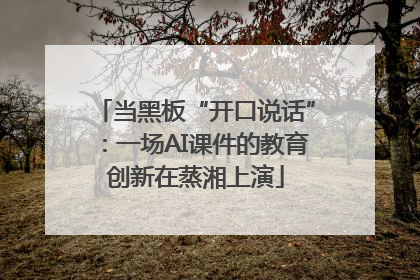 当黑板“开口说话”：一场AI课件的教育创新在蒸湘上演