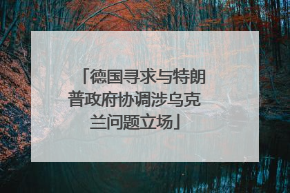 德国寻求与特朗普政府协调涉乌克兰问题立场