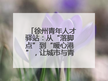 徐州青年人才驿站：从“落脚点”到“暖心港”，让城市与青年双向奔赴