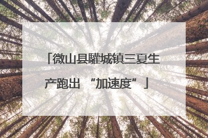 微山县驩城镇三夏生产跑出 “加速度”