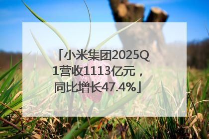 小米集团2025Q1营收1113亿元，同比增长47.4%