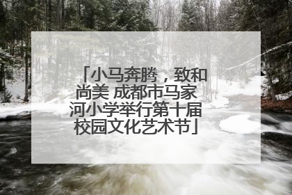 小马奔腾，致和尚美 成都市马家河小学举行第十届校园文化艺术节
