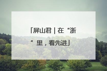 屏山君｜在“浙”里，看先进