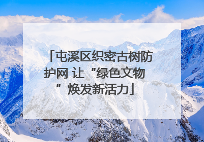 屯溪区织密古树防护网 让“绿色文物”焕发新活力