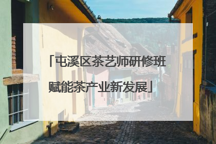 屯溪区茶艺师研修班赋能茶产业新发展