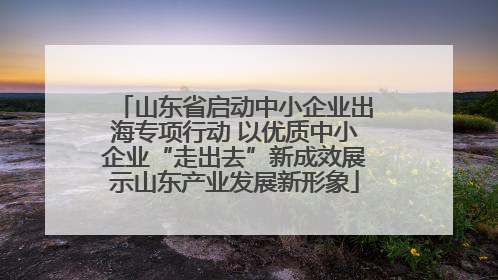山东省启动中小企业出海专项行动 以优质中小企业“走出去”新成效展示山东产业发展新形象