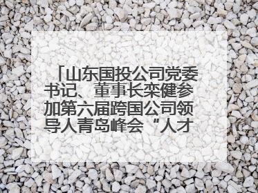 山东国投公司党委书记、董事长栾健参加第六届跨国公司领导人青岛峰会“人才引领 创新驱动”人力资源高质量发展对话会