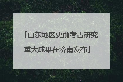 山东地区史前考古研究重大成果在济南发布
