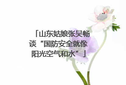 山东姑娘张昊畅谈“国防安全就像阳光空气和水”