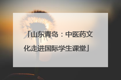 山东青岛：中医药文化走进国际学生课堂