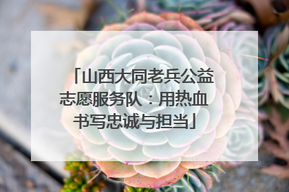 山西大同老兵公益志愿服务队：用热血书写忠诚与担当