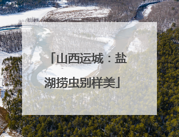 山西运城：盐湖捞虫别样美
