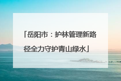 岳阳市：护林管理新路径全力守护青山绿水