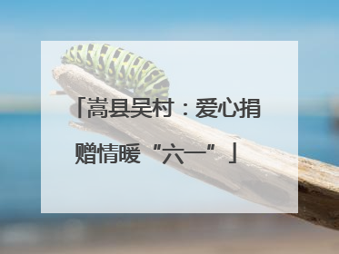 嵩县吴村：爱心捐赠情暖“六一”