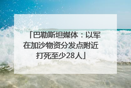 巴勒斯坦媒体：以军在加沙物资分发点附近打死至少28人