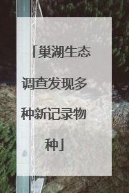 巢湖生态调查发现多种新记录物种